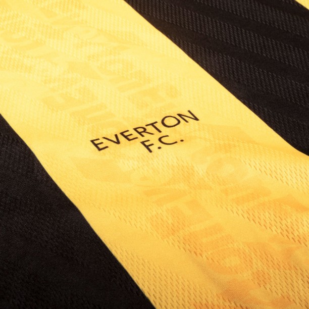 Everton 1996 Away shirt badge